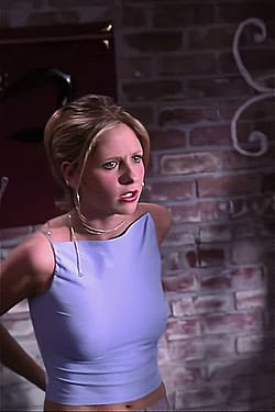 Sarah Michelle Gellar - Pokies In Buffy'