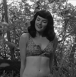 Gretchen Mol plot in The Notorious Bettie Page (2006)'