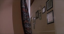 Virginia Madsen in "Candyman" (1992)'