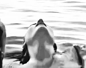 Florence Welch, “Florence and the Machine: The Odyssey”, 2026'