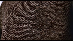 Roxanne Kernohan - Critters 2 (1988)'